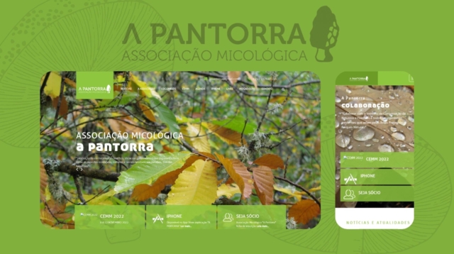 mockup-a-pantorra-techx