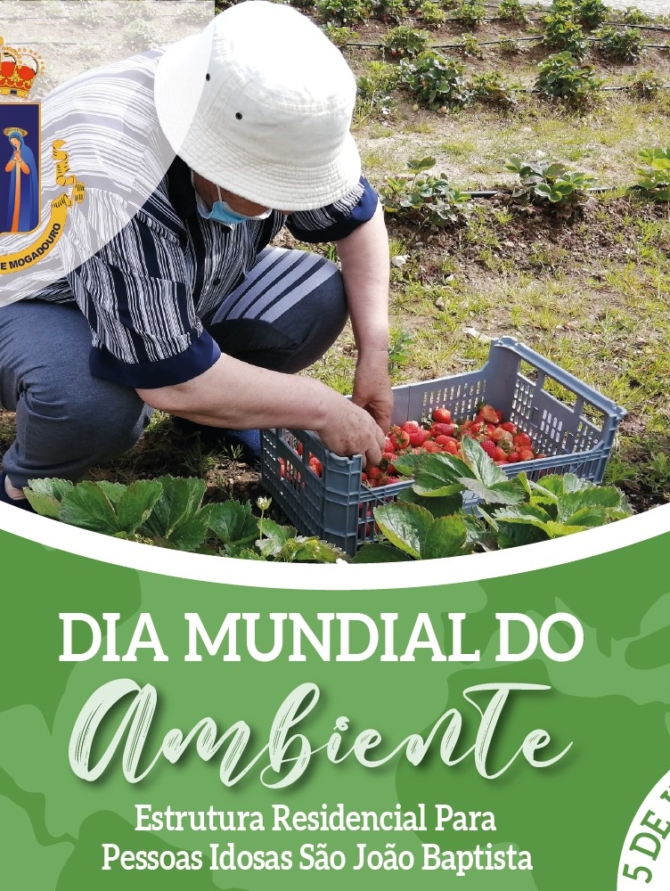 Dia-mundial-do-ambiente