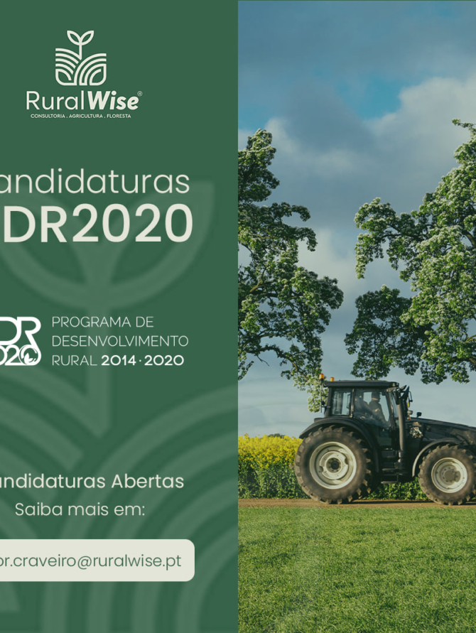PDR
