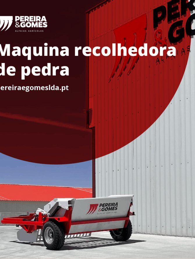 gestao-de-redes