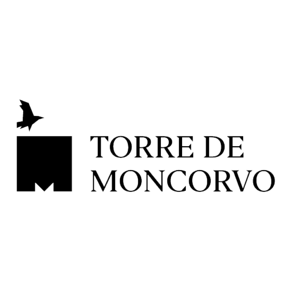 MUNICIPIO-TORRE-DE-MONCORVO-LOGO