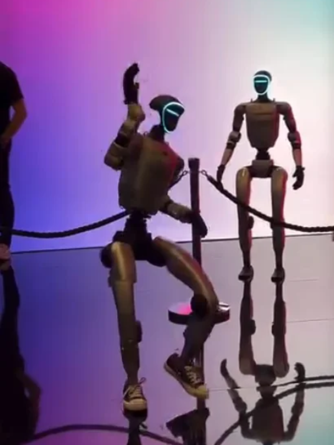 Robô WebSummit